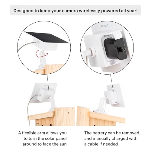 WHITEHORSE Camera for Bird Houses - Wireless and Solar Powered - Take Photos and Videos from Your Phone (Free App) - Get Notified When a Bird is Detected - 32GB Memory Card Included - Thumbnail 4