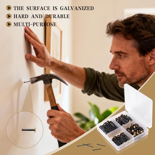 150 Stück Stahlnägel Set (20/25/30/40mm) Rostfreie Stahlnägel Bildernägel mit Box Nägels für Ziegelstein Putz & Holz Rostfreie Stahl nägel Ohne Bohren