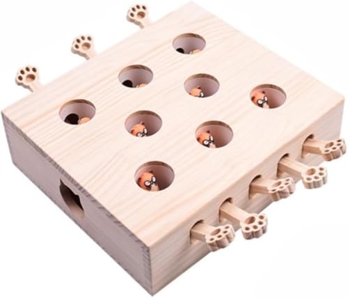 DancJulie ؐ^bvO 5Lp Iꂽ؍ނŔL̗Vтy܂ADShA^sXgX̂߂̃ybgpimߋ (E)