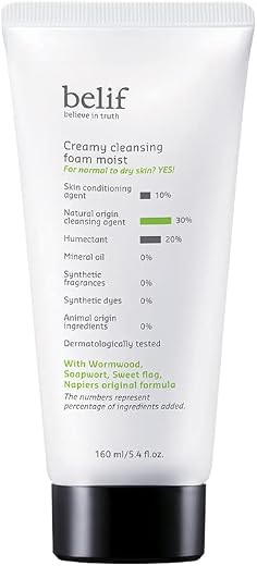 Belif Creamy Cleansing Foam 160ml