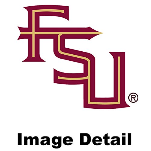 Florida State University Seminoles Fsu College Team Sports Logo Vehicle Auto Truck Suv Car Vinyl Front And Rear Floor Mats - 4Pc Set #TOP6