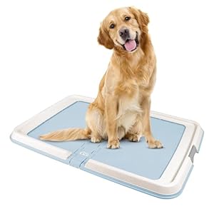 IRIS USA Pee Pad Holder XL Marking and Leg Lifting Dog Pad Holder Foldable Secured Latches Non Skid Rubber Feet High Polish Finish for Easy Cleaning Fits 23×35 Pad or Larger Blue