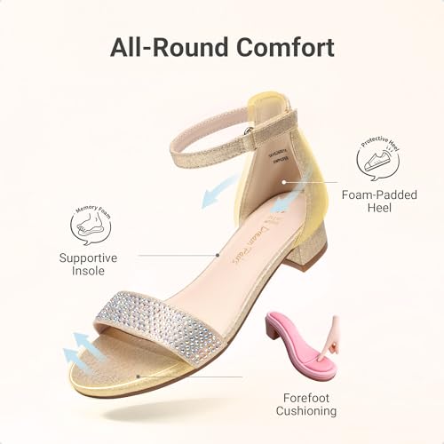 Image of DREAM PAIRS Girls Sandals Low Heel Dress Pump Ankle Strap Flower Wedding Party Shoes for Little Kid /Big Kid