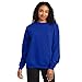 Hanes Men's EcoSmart Sweatshirt, Deep Royal, Medium