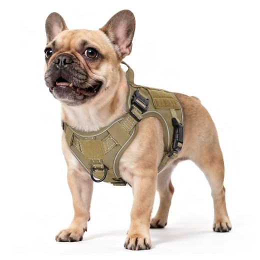rabbitgoo Tactical Dog Harness Small Sized, No Pull Upgraded Reflective Heavy Duty Molle Vest with Handle, Adjustable Military Service Dog Vest for Walking Hiking Training, Brown, S