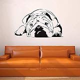 Wand Tattoo Dekoration Wandaufkleber neuesten englischen Bulldogge Umwelt Aufkleber 40X68cm