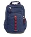 Produktbild STM Bags STM-111-088M-35 Velocity Trestle Backpack 33 cm (13 Zoll) Navy