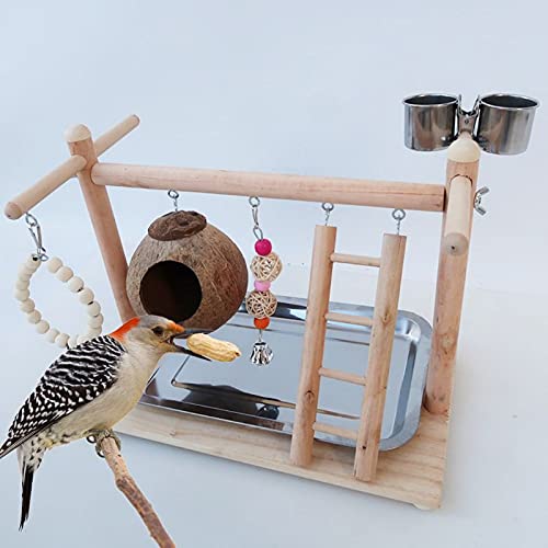 Percha para pájaros Parque Infantil for pájaros, Juguete for Loros, cáscara de Coco, Jaula for, Escalera, Ejercicio, for con Tazas alimentación for Conure