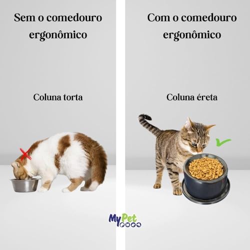 MY PET BRASIL Comedouro Alto Ergonômico e Anti-Formiga para Gatos Adultos - Preto
