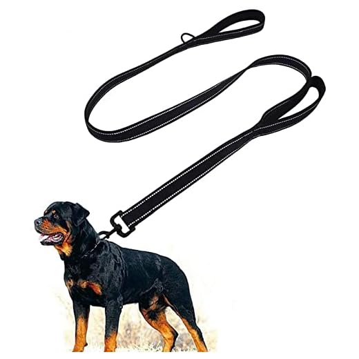 Correa para Perro Resistente de 5 pies con asa Acolchada, Hebilla de Metal giratoria sin enredos de 360 ​​Grados para Perros pequeños, medianos y Grandes. (1.5m, Negra)