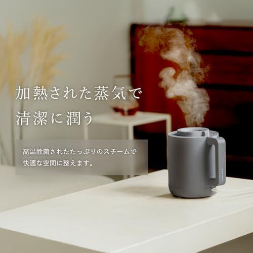 ラビーノ ホットモイスト スチーム式卓上加湿器
