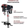 BUCKTOOL 12 INCH 6.2A Professional Bench Drill Press, 3/4HP Powerful Benchtop Drill Press, Variable Speed Drill Press with IIIA Laser and Work Light