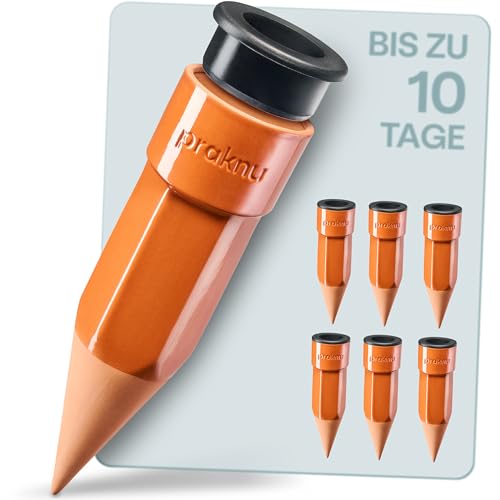 Praknu 6x Tonkegel Bewässerung Klein – Bis zu 10 Tage – Auslaufsicherem mit Adapter – Bewässerung für Zimmerpflanzen im Urlaub – Wasserspender Pflanzen – Bewässerungssystem