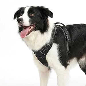Funfox Dog Harness Medium Breed, No Pull Dog Harness Adjustable with Handle Easy Control, Durable Materials 2 Clips Harnais Pour Chien Reflective Strips Pet Vest for Night Walking Black M