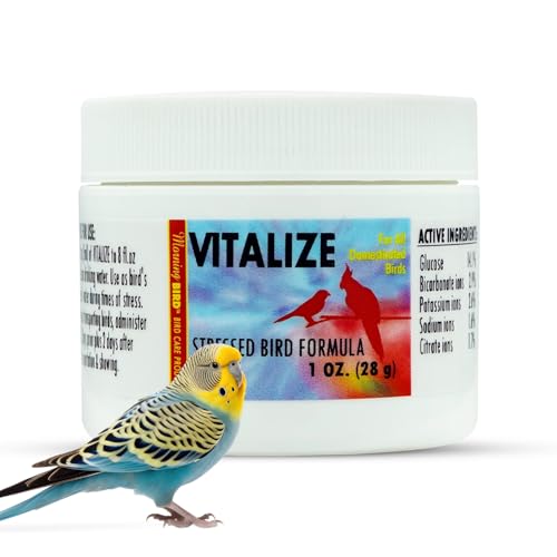 Morning Bird Vitalize, Supplement for Sick, Injured, or Stressed Caged Birds; Dehydration and Exhaustion Treatment for Parakeets, Cockatiels, Budgies, Finches, Canaries, and Parrots, 1 oz