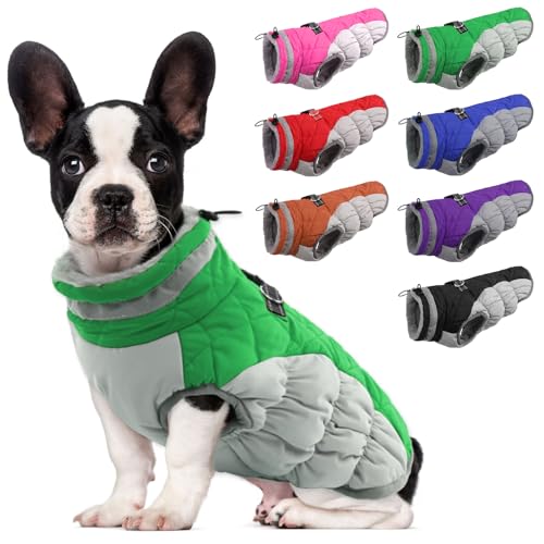 Image of LeLePet Warm Dog Winter Coat, Waterproof, Fleece, Green, X-Small, Turtle Neck, Adjustable, Windproof, for All Breed Sizes