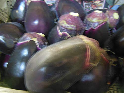 泉州水ナス10本入り