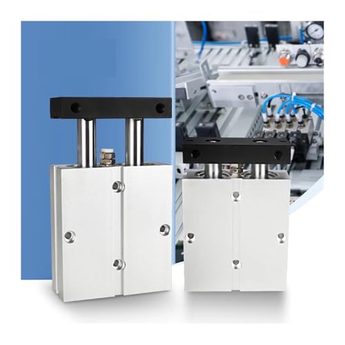 Vérin pneumatique double axe 2 tiges avec aimant intégré Alésage 10mm Course 10mm