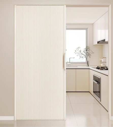 MLYAYE Porta A Soffietto Porte A Libro Porta Scorrevole a Fisarmonica di Dimensioni Personalizzabili, divisorio Flessibile Portatile Multi-Anta con Chiusura Magnetica per Negozi/balconi(100x210cm)