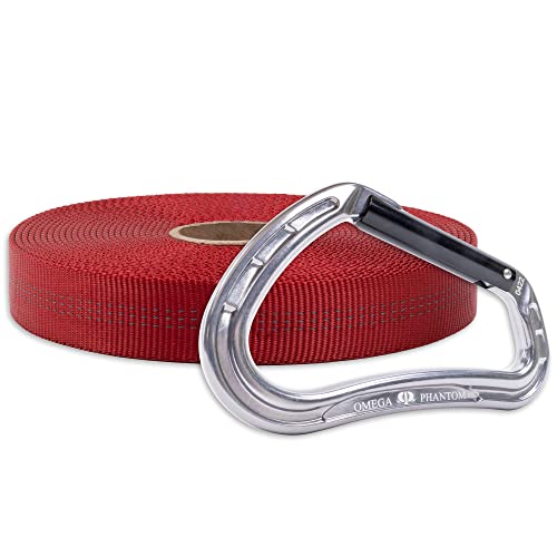 Rock-N-Rescue 25-Foot Webbing and Carabiner Combo | Heavy-Duty, Versatile Rigging Tool for Outdoor Adventures | Expert Construction for Strength & Lasting Durability (Red)