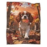 Zoom IMG-1 wxlwhr coperta plaid pile con Zoom IMG-1 wxlwhr coperta plaid pile con