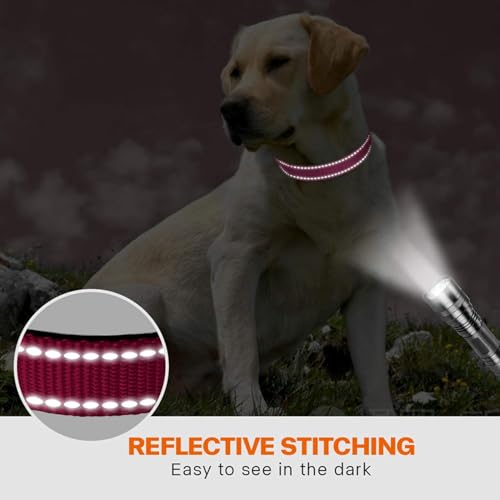 Taglory Hundehalsband, Weich Gepolstertes Neopren Nylon Hunde Halsband für Kleine Hunde, Verstellbare und Reflektierend für das Training, Hot Pink