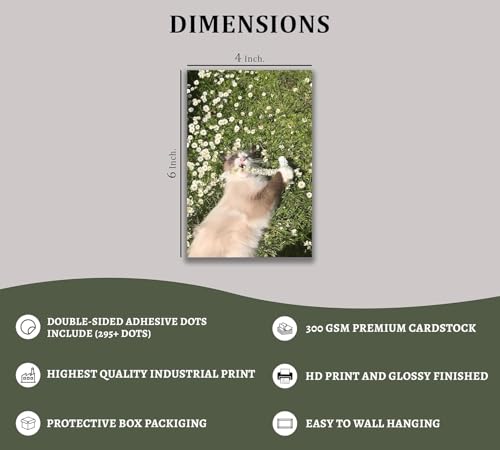 Image of ZENDEN STORE Pack of 54 Aesthetic Green Wall Collage Kit Posters - 4x6 Inch, 300 GSM Matte Cardstock with 300+ Glue Dots - Minimal Wall Decor for Bedroom, Dorm, Office