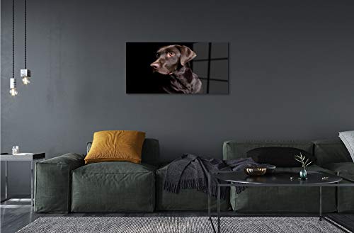 Tableau sur verre Tulup anti-poussière 100x50cm de chien pour mur propre - 5