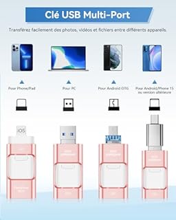 ZARMST Cle USB 256 Go, Clé USB 4 en 1 pour iOS/Pad/Android/Type C/PC, Cle USB C 3.0 Flash Drive Transfert Rapide, Clef Mémoire Externe pour Stockage Photos, Vidéos, Fichiers(Rose)