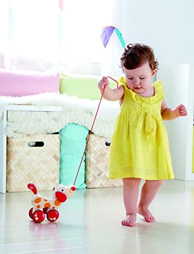 hape pepe pull along