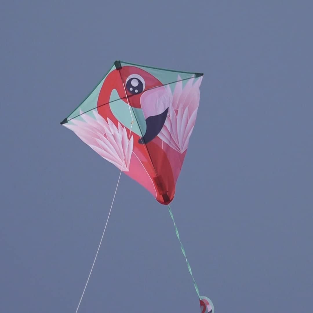 X Kites DLX Deluxe Diamond Kite with FancyTails - Turtle, Butterfly, Unicorn, Dragon, and Flamingo