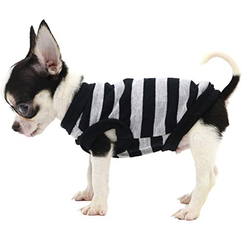Lophipets 100% Cotton Striped Dog Shirts For Small Dogs Chihuahua Puppy Clothes Tank Vest-Black And Gray Strips/Xxs #TOP1