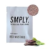 mostaza casera con semillas 🌱 SOBRE DE SEMILLAS DE MOSTAZA ROJA: perfectas para plantar en semilleros, macetas, jardineras o huertos. Esta planta es válida para cultivar tanto en exteriores como en interiores. Incorpórala recién recogida para elaborar deliciosos salteados, guisos o ensaladas.