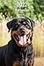 2022 Rottweiler Agenda: A5, 143 Pages | 14 Mois | Planificateur & Organiseur | Calendrier | Une double page par semaine | Journal | En Francais