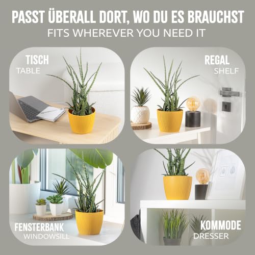 PECZEKO Blumentopf matt, Pflanzkübel aus Übertopf Kunststoff Dekorativer Topf für, groß Pflanzen 2X blumenkübel Set… – Ansicht 4