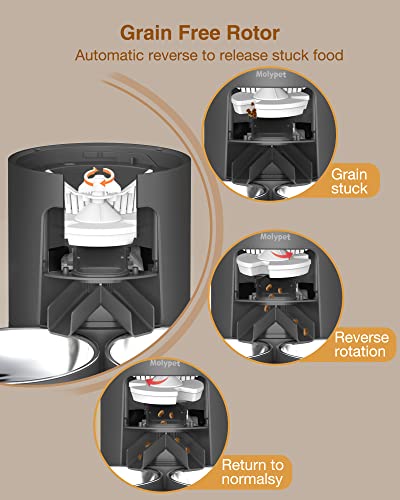 Molypet F02D Automatic Cat Feeders thumb #4