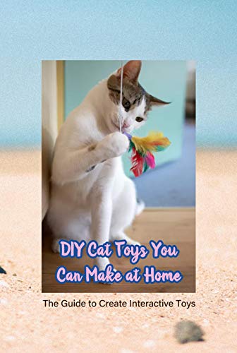 best interactive toys