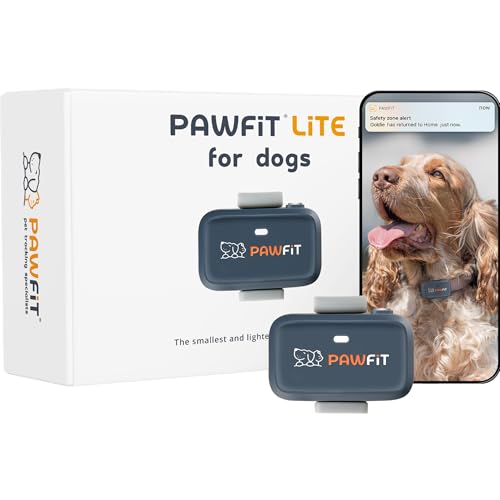 Pawfit Lite for Dogs 4g GPS Tracker | Real Time Tracking | Activity Monitoring |Location History | Unlimited Range | Safety Collar Included | Charcoal grey
