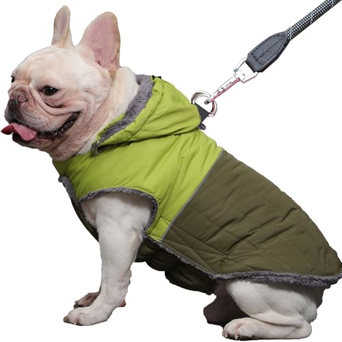 JoyDaog Et[htpR[g n[lXt ^pAgt[XqWPbgA~̃hM[R[gAO[ XL