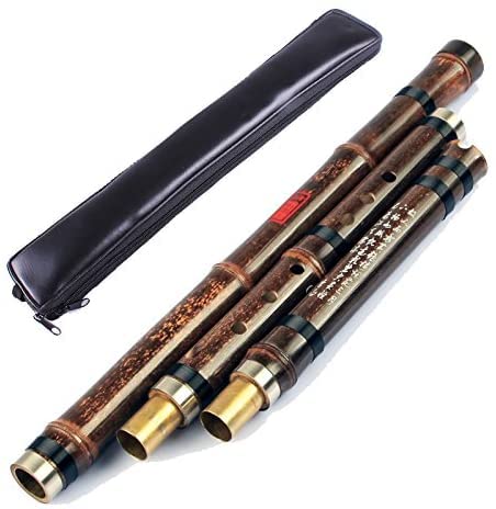 LANDTOM Performers' Level/Professional Xiao Flöte aus Bambus, für Rechtshänder, 8 Löcher mit Tasche, Violett