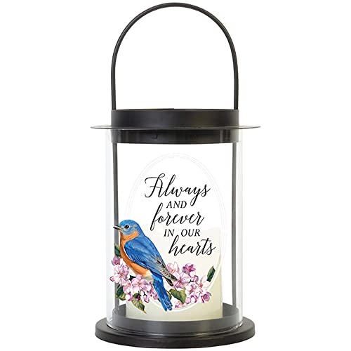 Carson Cylinder "Always And Forever" Memorial Lantern With Flameless Candle - Sympathy Gift For Funeral - Loss Of Loved One - Remembrance Lantern For Home Decor #TOP16