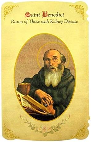 The Healing Holy Card SeriesThe Healing Saint Series Silver Tone Catholic Patron Medal with Holy Card