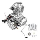 LIAPDG 200CC/250CC ATV Engine,5-Speed 4 Stroke Motorcycles Engine14Hp Single Cylinder Air Cooling Engine Motor 7500Rpm Cdi Ignition System Crankshaft Diameter 2Cm/0.78Inch Size 12.4 x 12 x 16.92Inch