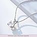 Jewelili 10K White Gold Solitaire Pendant Necklace for Women | Dainty Round Cut White Cubic Zirconia Gold Necklace 8.0MM (2.0 CTW) | 18