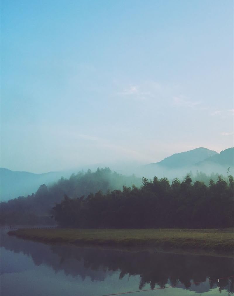 1000 Piece Jigsaw Puzzle for Adults and for Kids Age 12 and Up-Fog,river,morning 70x50cm