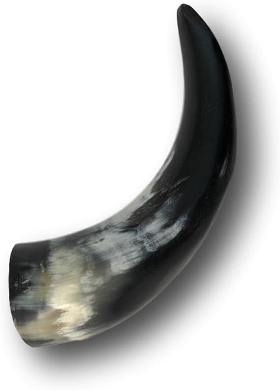 6-8 Polished Water Buffalo Horn