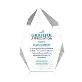 Baudville Personalized Engraved Appreciation Award Plaque Trophy Unique Personalization for Boss, Employee, Manager, Board Member, Coach, Retirement Unique Thank You Gift (Large - 8.5' Blue)