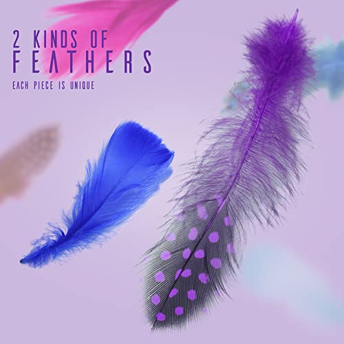 Colorful Natural Feathers For Crafts Diy Wedding Party Decoration 300 Pcs #TOP2
