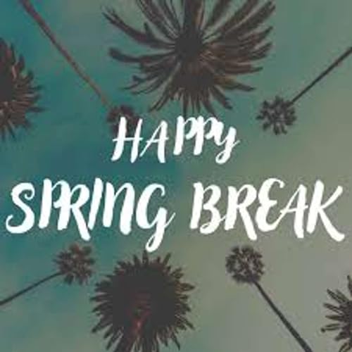 The "Househusband" Chronicles: My Solo Spring Break Survival Guide