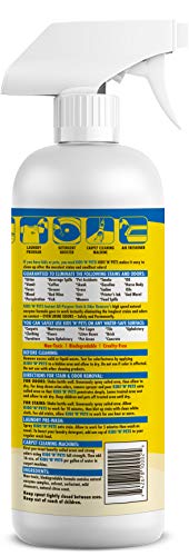 Kids 'N' Pets – Instant All-Purpose Stain & Odor Remover – 27.05 Oz - (800 Ml) – Pack Of 2 - Proprietary Formula Permanently Eliminates Tough Stains & Odors – Even Urine Odors #TOP2